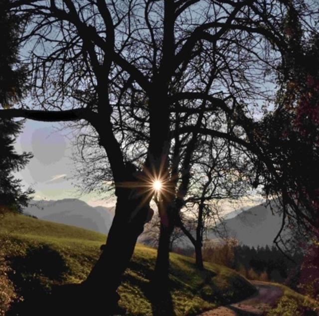 Appartamento Da Romina Con Parcheggio Gratuito Sanzeno Exteriér fotografie