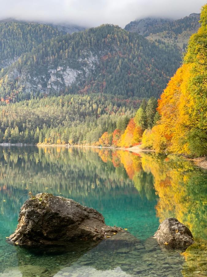 Appartamento Da Romina Con Parcheggio Gratuito Sanzeno Exteriér fotografie