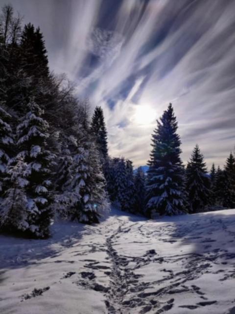 Appartamento Da Romina Con Parcheggio Gratuito Sanzeno Exteriér fotografie
