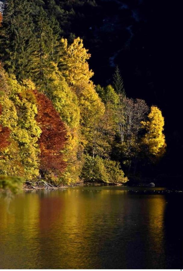 Appartamento Da Romina Con Parcheggio Gratuito Sanzeno Exteriér fotografie