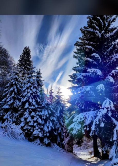 Appartamento Da Romina Con Parcheggio Gratuito Sanzeno Exteriér fotografie