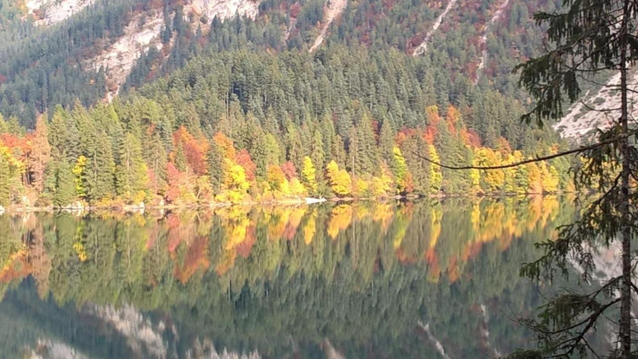 Appartamento Da Romina Con Parcheggio Gratuito Sanzeno Exteriér fotografie
